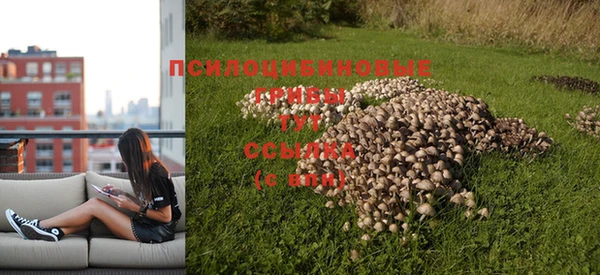 ГАЛЛЮЦИНОГЕННЫЕ ГРИБЫ Балахна