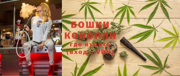 ГАЛЛЮЦИНОГЕННЫЕ ГРИБЫ Балахна