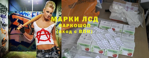 ГАЛЛЮЦИНОГЕННЫЕ ГРИБЫ Балахна
