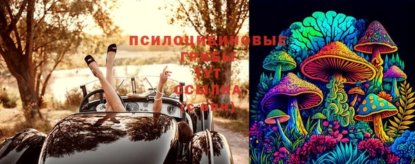 ГАЛЛЮЦИНОГЕННЫЕ ГРИБЫ Балахна